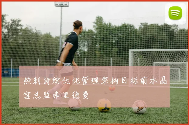 热刺持续优化管理架构目标前水晶宫总监弗里德曼