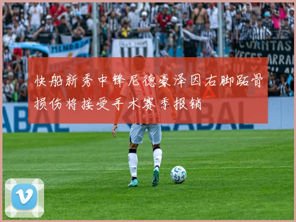 快船新秀中锋尼德豪泽因右脚跖骨损伤将接受手术赛季报销