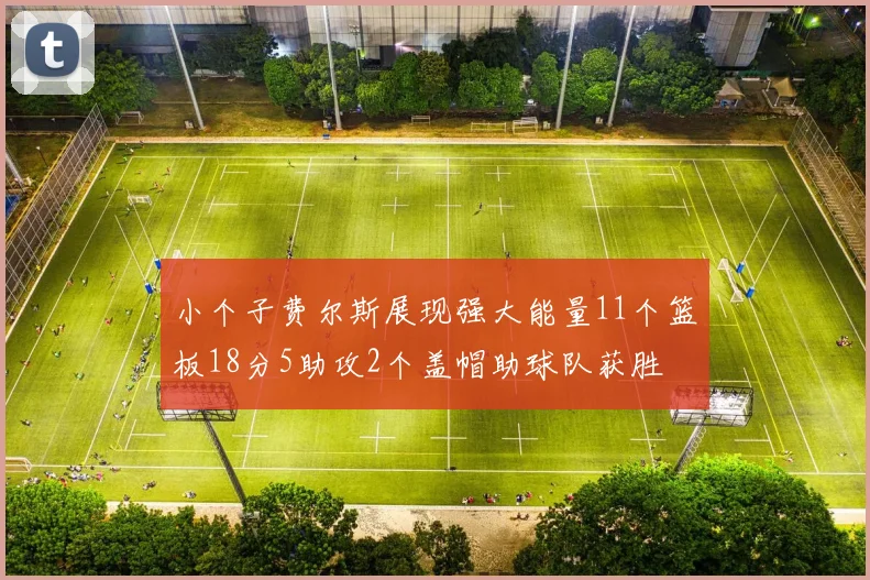 小个子费尔斯展现强大能量11个篮板18分5助攻2个盖帽助球队获胜